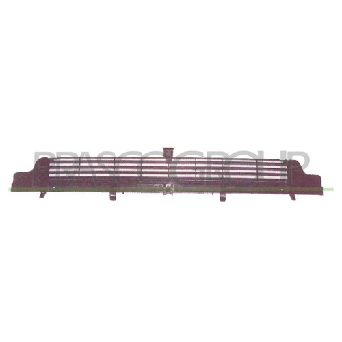 Griglia radiatore inferiore