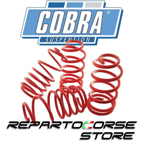 Molle cobra volkswagen - molle,